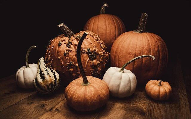 Diy halloween: Billig og bæredygtig pynt til den uhyggelige højtid