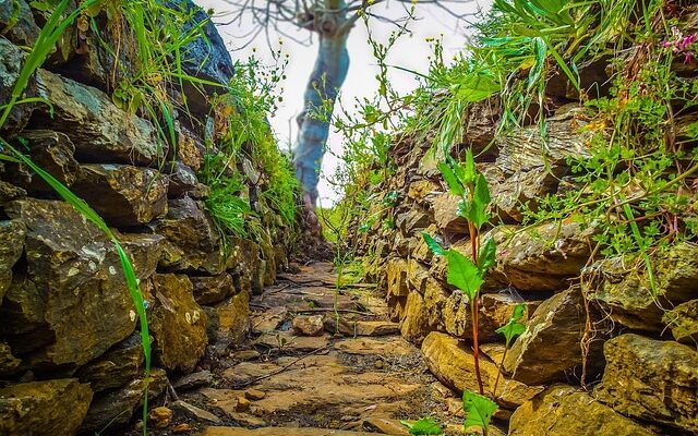 Guide: Gør-det-selv kloakspuling – er det en god idé?